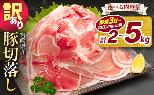 小分けで便利！10パックでお届け＜訳あり 宮崎県産 豚切落し 5kg＞