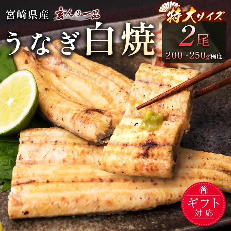 【2週間以内発送】［玄人の一品］うなぎ白焼き 特大2尾（200～250g程度/1尾）計400g以上 宮崎県産鰻 化粧箱入り 蒲焼タレ付（50ml×1本）【C428】