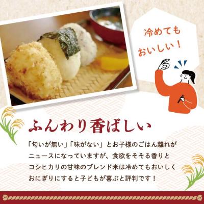 ふるさと納税 四万十市 【令和7年産】香り米入りブレンド米「四万十のかおり」5kg R8 |  | 02