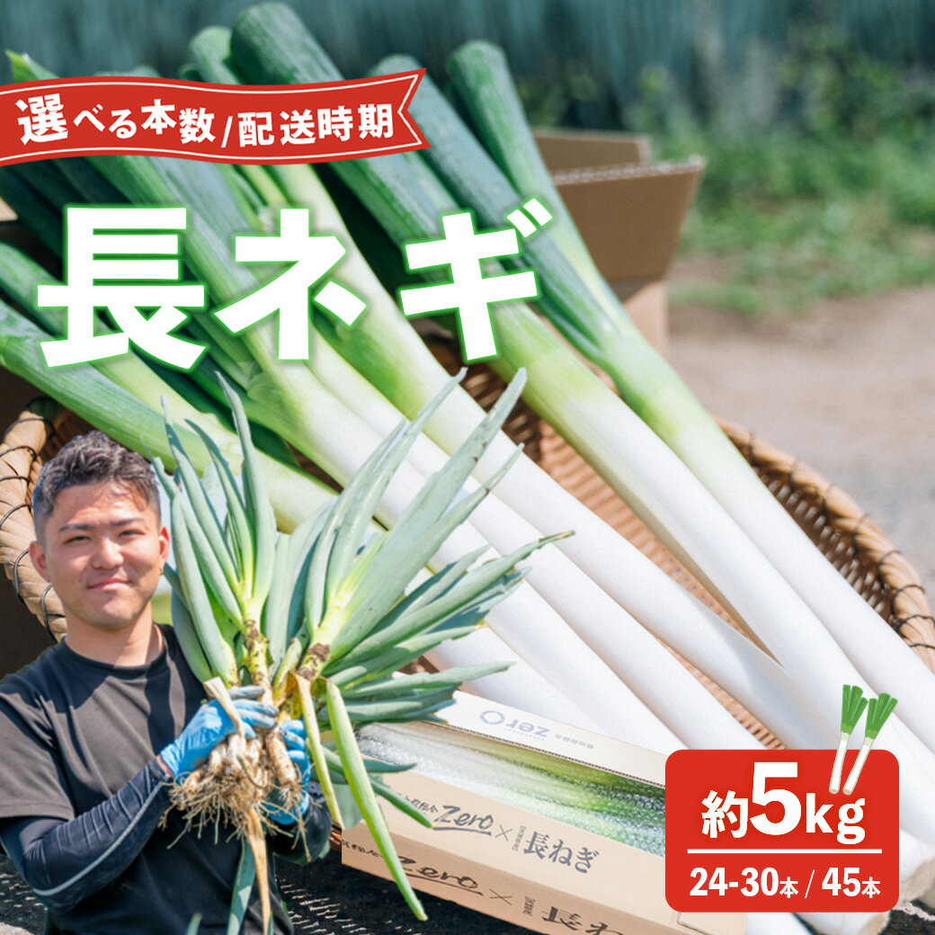 【ふるさと納税】 【 選べる 配送時期×本数 】 茨城県 八千代町産 長ネギ 約5kg 2L 約24本～30本 約45本 野菜 農家直送 化成肥料不使用 有機肥料100% ねぎ 長ねぎ ネギ 旨味 認定農業者 8500円 9000円【 スピード発送 / 先行予約 2026年11月以降発送 】