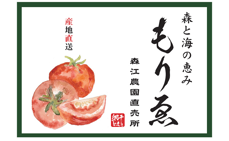 【11月中旬以降順次出荷】ミニトマト（2種）ご自宅用  [ ミニ とまと 高糖度 産地直送 野菜 ]