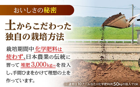 循環農法米 ヒノヒカリ白米 10kg / 米 こめ コメ おこめ お米 白米 ひのひかり / 諫早市 / 株式会社土井農場[AHAD095]