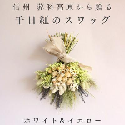 ふるさと納税 茅野市 信州八ヶ岳の麓から贈る 千日紅のドライフラワースワッグM(ホワイト&amp;イエロー)