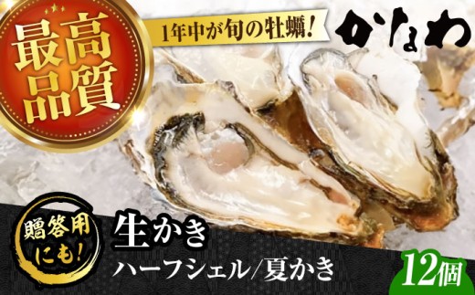 【生牡蠣】かなわのハーフシェル『夏かき』12個入り 江田島市／株式会社かなわ [XBP013]｜生牡蠣 生食用 牡蠣 生食 殻付き 殻付 殻 かき カキ 生牡蠣 広島牡蠣 オイスター ハーフシェル 夏かき 魚介類 魚介 貝類 海鮮 広島県産 国産 産地直送 贈答 ギフト 特産品 牡蠣