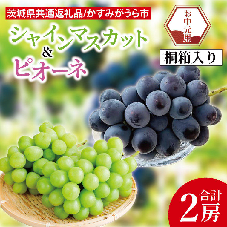 【先行予約】【お中元】シャインマスカットとピオーネ 桐箱入り 2房（茨城県共通返礼品：かすみがうら市）（CD188）