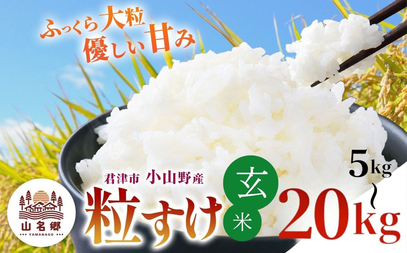 
                  玄米 令和7年産 君津市小山野産 粒すけ 【 選べる容量 】 5kg 10kg 15kg 20kg | 白米 山名郷米 やまなごうまい つぶすけ 千葉県産 げんまい 米 コメ こめ お米　千葉県 君津市 きみつ あかかげ農園　千葉稲作 千葉県 君津市 きみつ
                