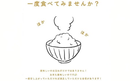 令和7年産新米　淡路島産こしひかり　玄米5kg