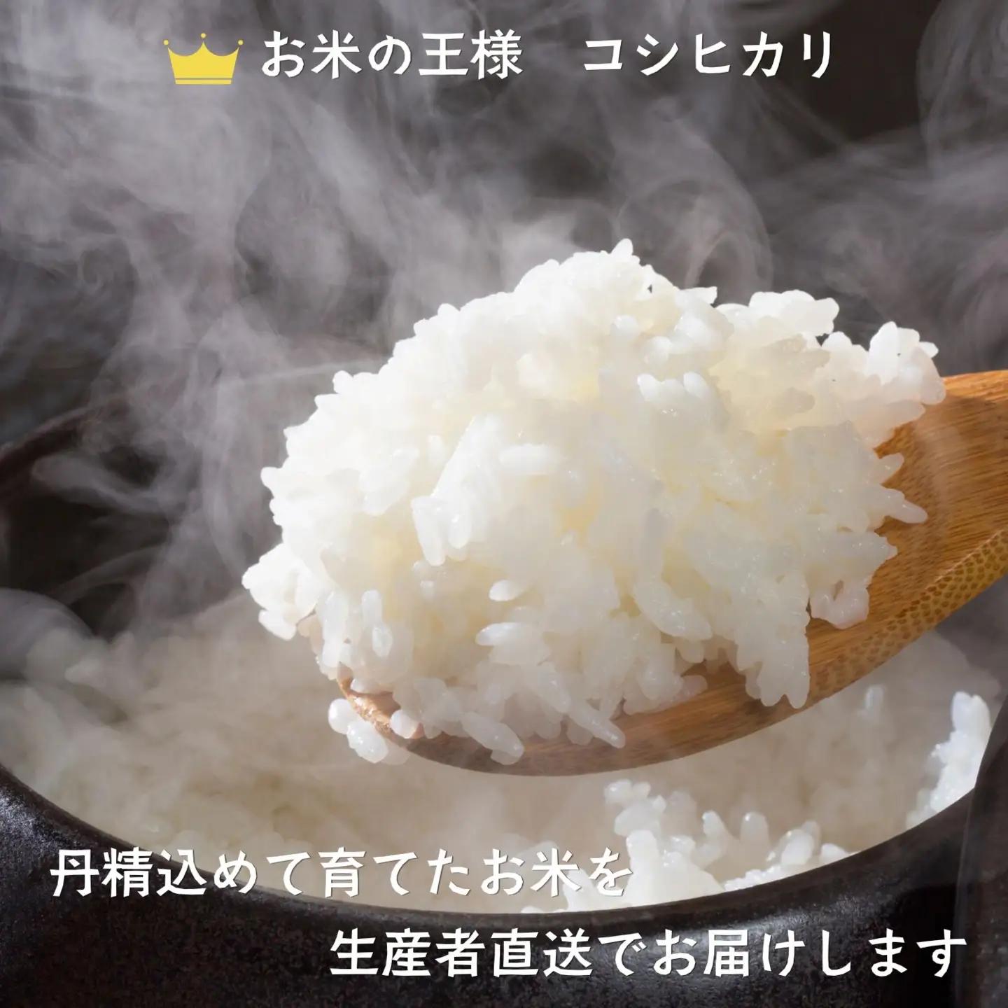 【新米予約】《定期便》＼ 2026年12月より5kg 6回 ／ コシヒカリ 木内ファーム
