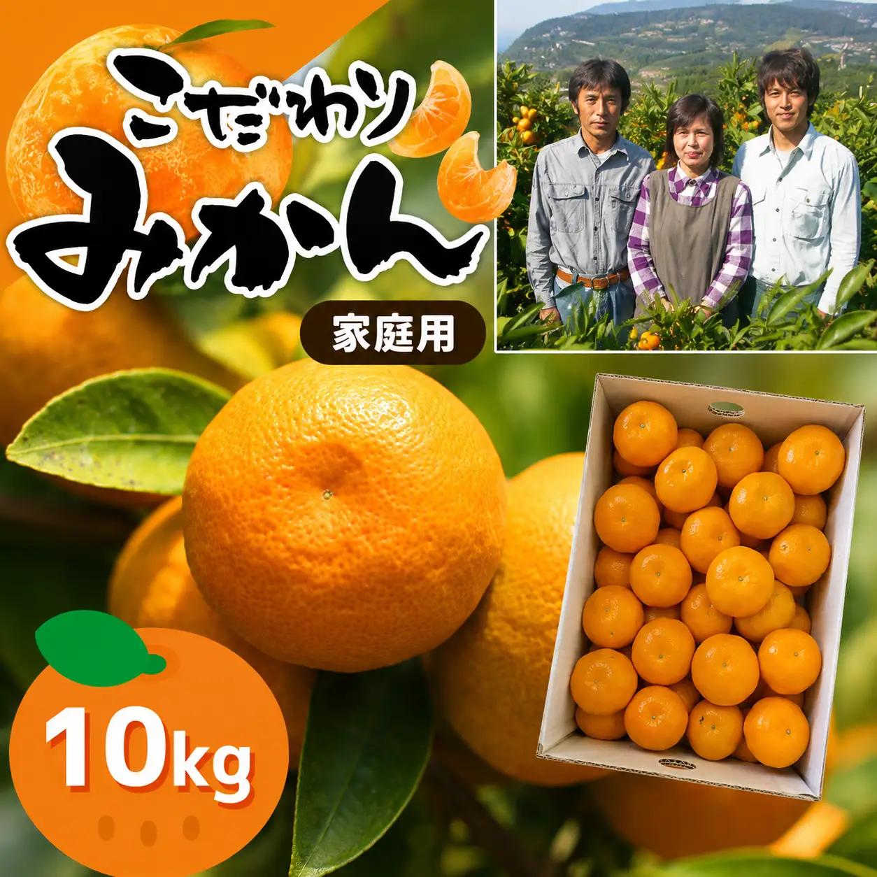 ≪家庭用≫こだわりみかん 10kg |  豊華の夢ロード