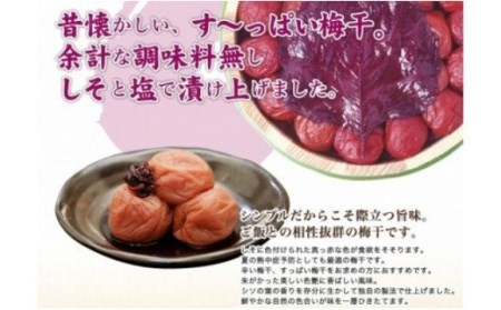 しそ漬梅850g【紀の里食品】【kns007A】