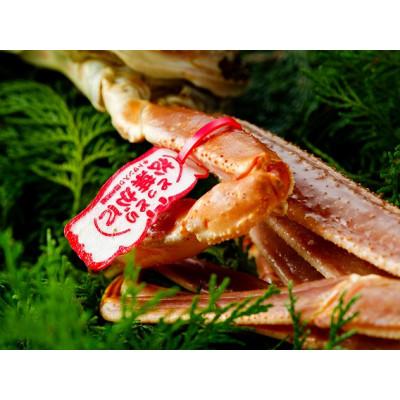 ふるさと納税 若桜町 【先行予約】鳥取県産　タグ付き活松葉がに　700g以上×2枚 |  | 01