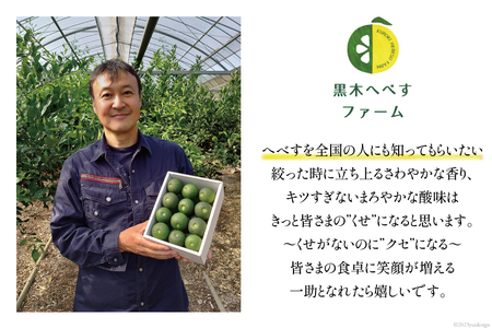 【期間限定発送】 黒木へべすファーム自慢の《露地》 へべす 2kg [黒木へべすファーム 宮崎県 日向市 452060742]