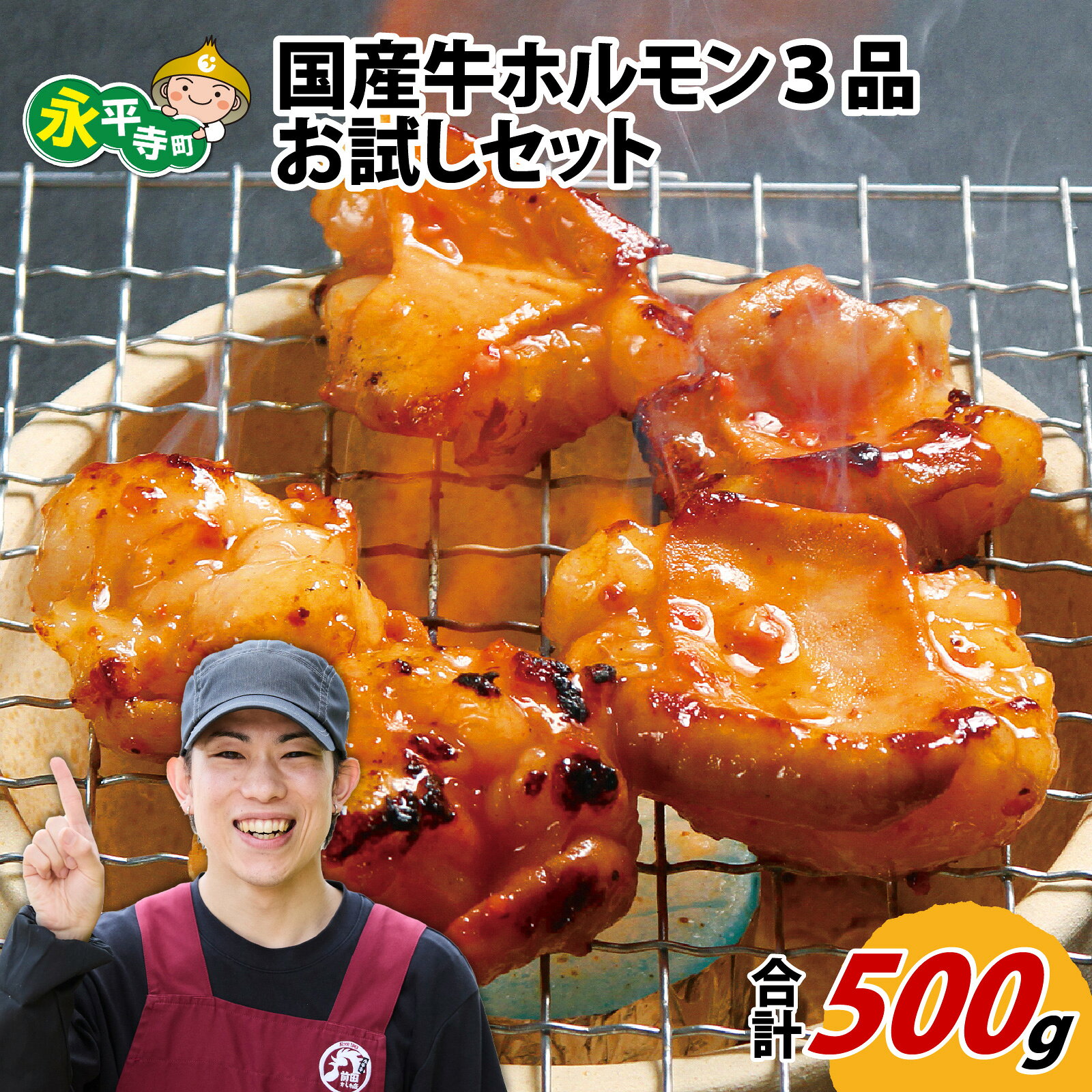 【ふるさと納税】国産牛ホルモン3品 お試しセット 約500g / 永平寺町 前田かしわ店 牛ホル 詰め合わせ 焼肉 バーベキュー BBQ 鍋 もつ鍋 小分け