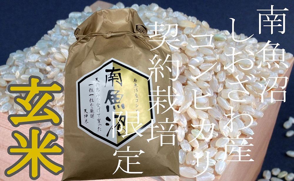 【令和7年産】【定期便6Kg×12ヶ月】●玄米● 生産者限定 南魚沼しおざわ産コシヒカリ