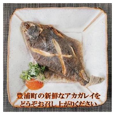 ふるさと納税 豊浦町 北海道 豊浦 噴火湾 水揚げ 生アカガレイ 約2kg【TYUO077】 |  | 02