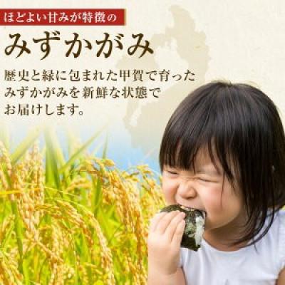 ふるさと納税 甲賀市 【令和7年産】近江米みずかがみ白米5kg |  | 02