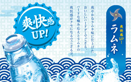 UHA味覚糖 忍者めし2種セット（ラムネ＆巨峰）合計10パック入り グミ ぐみ お菓子 菓子 食品 F25R-138