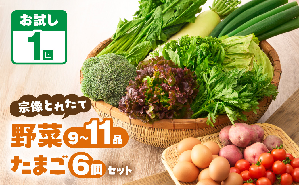 【一週間以内に発送】宗像とれたて　野菜・たまごセット【オアシス】_HA0778