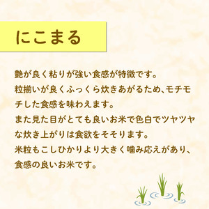 米 にこまる 2kg 農家直送 特別栽培米 お米 精米 静岡県 藤枝市