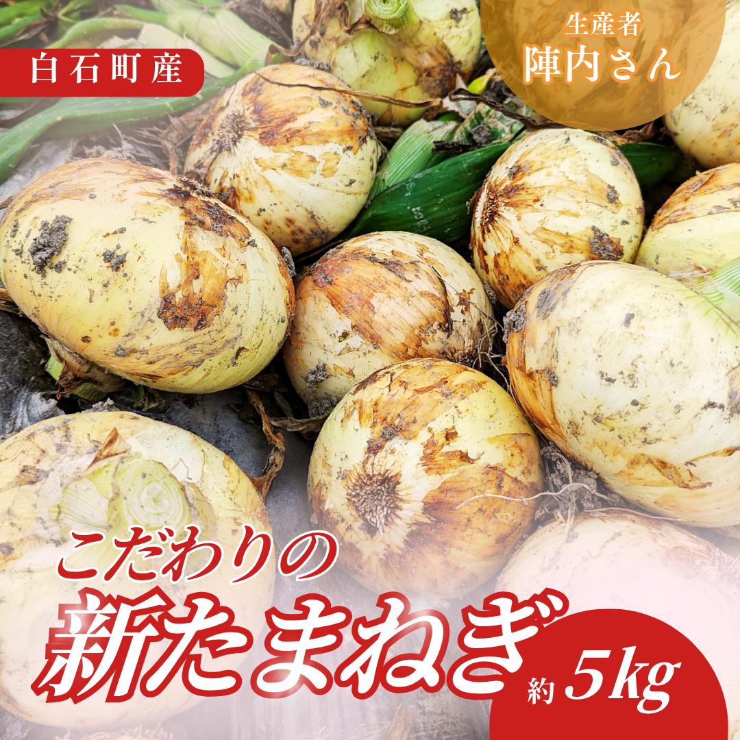 
            新玉ねぎ 約5kg
          