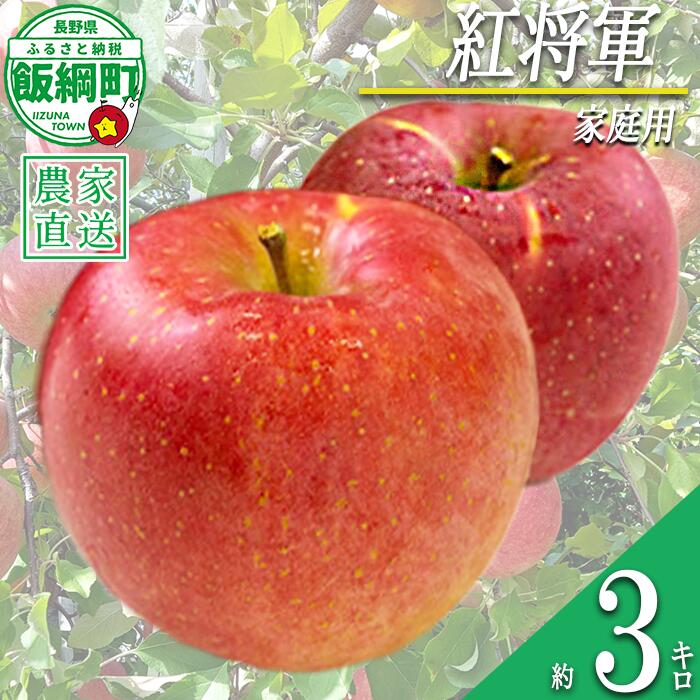 【ふるさと納税】 りんご 紅将軍 家庭用 3kg 永野農園 沖縄県への配送不可 令和8年度収穫分 長野県 飯綱町 〔 信州 果物 フルーツ リンゴ 林檎 長野 予約 農家直送 10000円 〕発送時期：2026年9月下旬〜2026年10月上旬