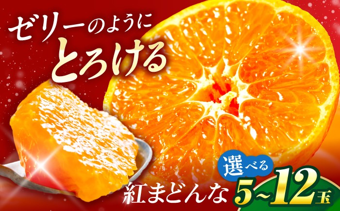
                  【選べる容量】紅まどんな 5～12個入り(紅まどんな自体のサイズは異なります。)【11月中旬から12月下旬まで順次発送】/ フルーツ 果物 蜜柑 ミカン オレンジ 小玉 甘い 先行予約 箱 愛媛 紅まどんな 高級柑橘 薄皮 果汁たっぷり 濃厚 旬 贈答 フルーツギフト 箱入り 旬の果物 完熟 旬 プレゼント ギフト 人気 おすすめ / 愛媛県砥部町/株式会社フジ・アグリフーズ [BJBI003]
                