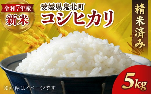 
            【R7年産新米】愛媛県産 コシヒカリ 5kg ｜ ご飯 白米 お米 令和7年産 5kg 10kg 20kg 精米済み ※2025年10月上旬～12月下旬頃に順次発送予定 ※離島への配送不可
          