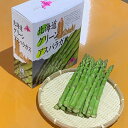 【ふるさと納税】≪令和7年産予約受付！≫グリーンアスパラ 1kg 2kg 野菜 送料無料 アスパラガス アスパラ 美瑛 美瑛町 北海道 北海道美瑛 サスケの家