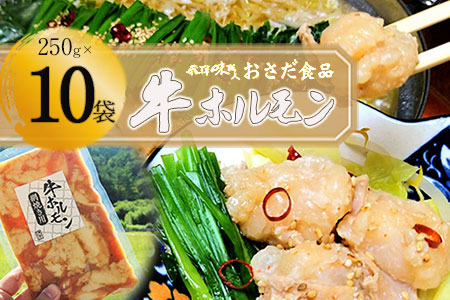 【飛騨 味職人】牛ホルモン 網焼き用（250g×10袋）【57-17】