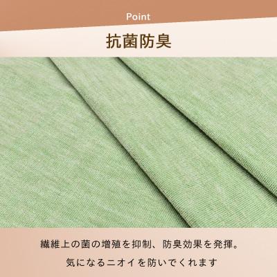 ふるさと納税 和泉市 防ダニ カーペット 10畳 日本製 抗菌防臭 ノースポール 江戸間 352×440cm グリーン |  | 02