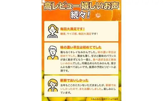 ゆら早生 みかん 3kg / 和歌山県 柑橘 みかん 甘い 蜜柑 フルーツ 果物 くだもの 食品 人気  晩柑 おすすめ 送料無料 産地直送 由良町  ※2026年10月上旬頃～10月下旬頃に順次発送