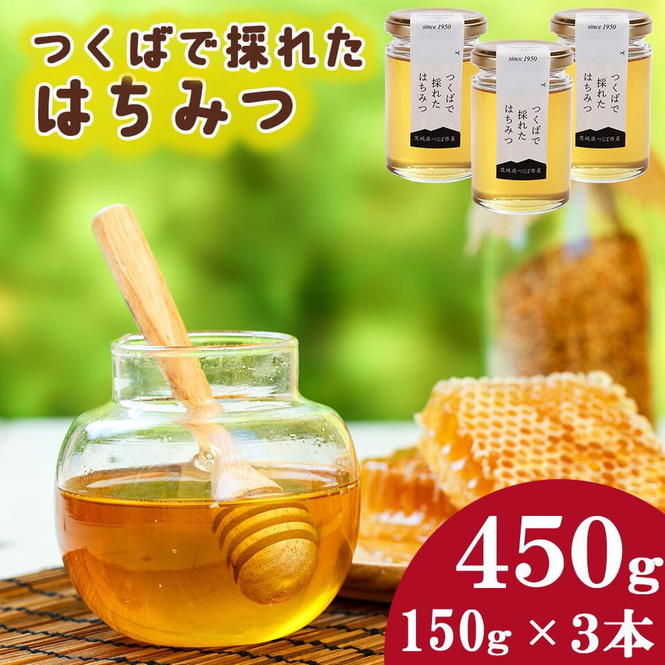 【ふるさと納税】つくばで採れたはちみつ 150g×3 本 | 茨城県 つくば市 ハチミツ はちみつ 蜂蜜 ハニー はち蜜 国産 養蜂 詰め合わせ 詰合せ セット ギフト ギフトセット 国産 自然の恵み お歳暮 お年賀 健康