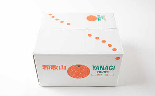 柳フルーツ園の訳あり富有柿 約10kg【2026年10月以降発送】