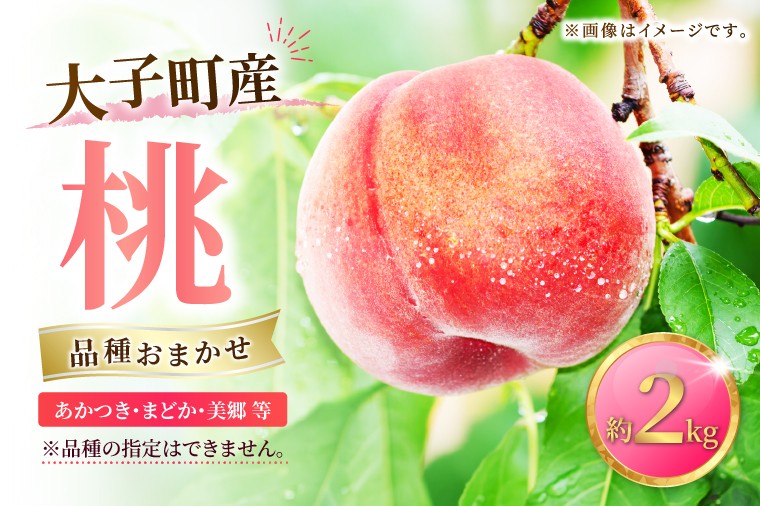 
                  【先行予約・数量限定】大子町産「桃」約2kg 品種おまかせ（あかつき・まどか・美郷 等）｜茨城県 大子町 令和8年産 もも モモ フルーツ 果物 おまかせ 詰め合わせ 産地直送 旬 人気 厳選 奥久慈りんご園（AI007）
                