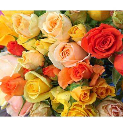 ふるさと納税 杵築市 『天使のバラ』薔薇だけのミニ丈ブーケ(黄オレンジ系)Sサイズ |  | 03