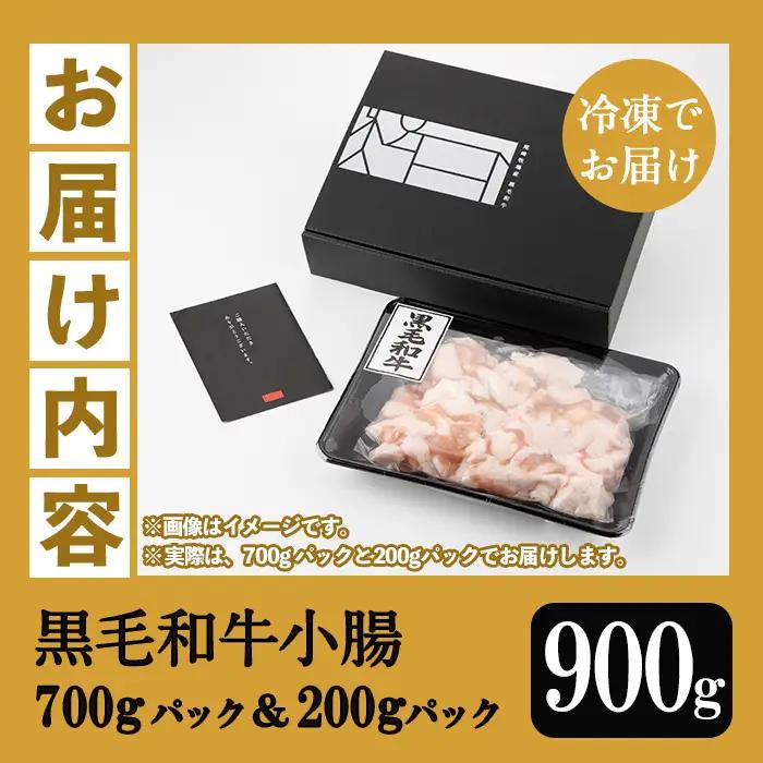 ホルモン 鹿児島県産 黒毛和牛 小腸 900g（700g＋200g）ホルモン【00-030-08-L】