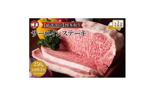 
                  【全3回定期便】博多和牛サーロインステーキ 250ｇ（250ｇ×1枚） | 肉 お肉 にく 食品 福岡県産 人気 おすすめ 送料無料 ギフト
                