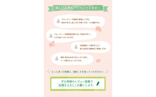 紀州梅酒　720ml×2本入（化粧箱入り） / 和歌山 田辺市 紀州南高梅 南高梅 梅酒 梅 ロック 水割り 宅飲み 家飲み 家庭用 化粧箱【umy025】