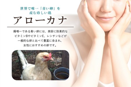 平飼い幸せの青い卵（アローカナの卵）24個（20＋補償4個）×定期便6回 たまご タマゴ 玉子 安全 テレビ TV マニアさん 健康 美容 ご飯 すき焼き 目玉焼き 卵焼き 玉子焼き たまご焼き 卵か