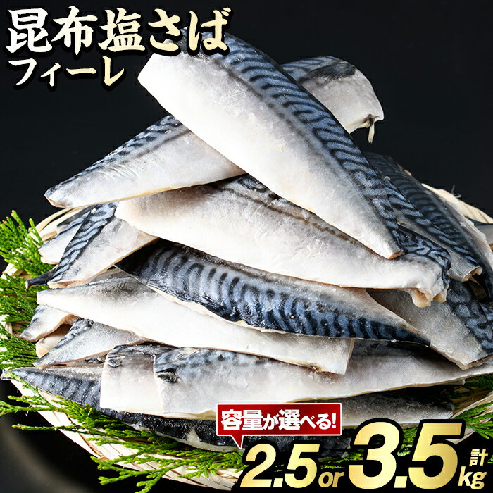 【ふるさと納税】＼レビューキャンペーン実施中！高評価★4.74獲得！／＜内容量が選べる！＞訳あり！昆布塩さばフィーレ(A品B品混合2.5kg or B品のみ3.5kg) 大容量 ボリューム サバ 鯖 おかず おつまみ 惣菜 焼き魚 切り身 昆布 ご家庭用 リピート【グローバルフーズ】