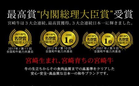 ＜宮崎牛ネックサイコロカット400g+パタゴニア天然塩付き＞3か月以内に順次出荷【c530_tf_x3】