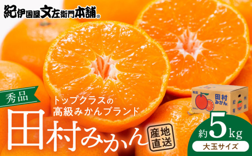 V7451_田村みかん／5kg秀品【大玉サイズ】/ 紀州和歌山有田郡湯浅町田村地区産 / 最高級プレミアムブランドの田村ミカン <br>/ 紀伊国屋文左衛門本舗(お届け日指定不可)