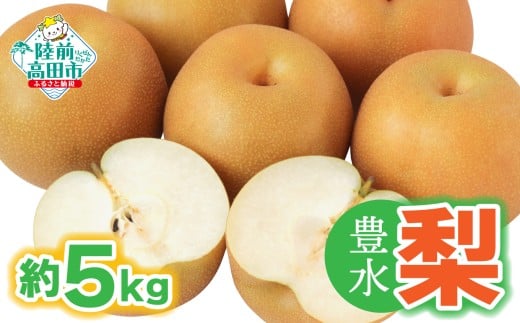 【令和8年夏発送予定】梨 （豊水） 約 5kg  熊谷農園 RT2632-5