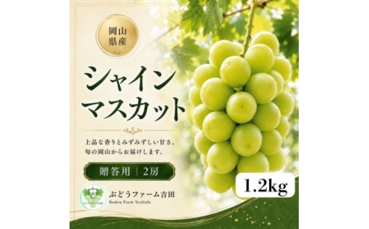 【2027年発送】岡山県産シャインマスカット贈答用　計1.2kg(2房)【1780427】