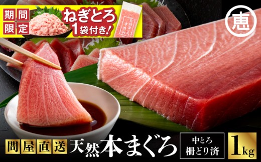 【期間限定 生活応援 ネギトロ付き】まぐろ専門の老舗問屋からお届け！とろける！上質 天然本まぐろ中トロ1kg分　M020-012-cp