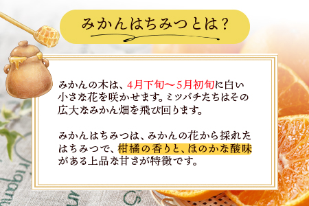 みかんはちみつ 320g 160g×2本セット《30日以内に出荷予定(土日祝除く)》 ミカン 蜜柑 蜂蜜 熊本県荒尾市産 純粋蜂蜜 木原養蜂園