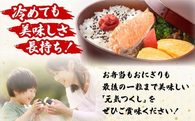 【6ヶ月定期便】福岡県産米 元気つくし 10kg 令和7年産 ※北海道・沖縄・離島は配送不可【精米 7年産 国産 福岡県産 お米 ブランド米 10kg げんきつくし】CY012sub6 【6ヶ月定期便