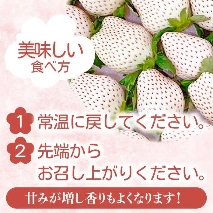 【2027年1月以降順次発送】白い宝石（自宅用）約520g（約130g×4パック） / 佐賀県 / 手島農園 [41ABAB003]