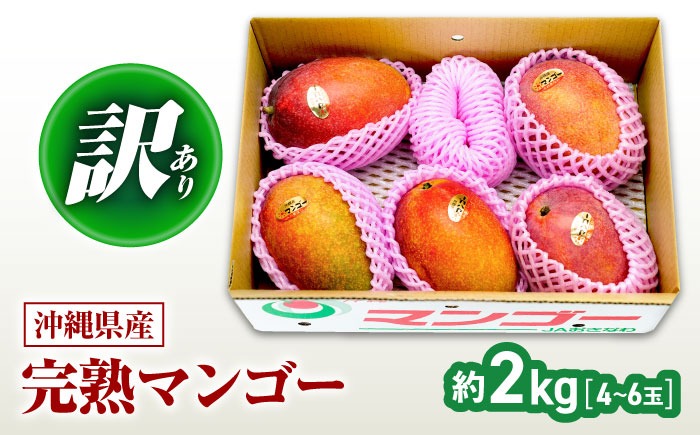 【先行予約】【2027年発送】 訳あり 完熟マンゴー 約2kg (4～6玉入) マンゴー 沖縄 果物 フルーツ ギフト 沖縄市 / ちゃんぷる～市場 [BCAA002]
