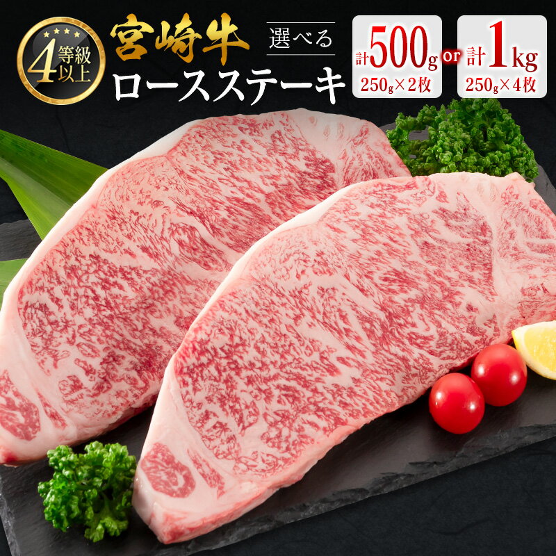 【ふるさと納税】数量限定＜畜産農家応援＞［選べる配送期間＆内容量］宮崎牛 ロースステーキ 計500g 計1kg 肉質等級4等級 国産 人気 おすすめ 期間限定 10日以内出荷 ※2026年8月4日まで